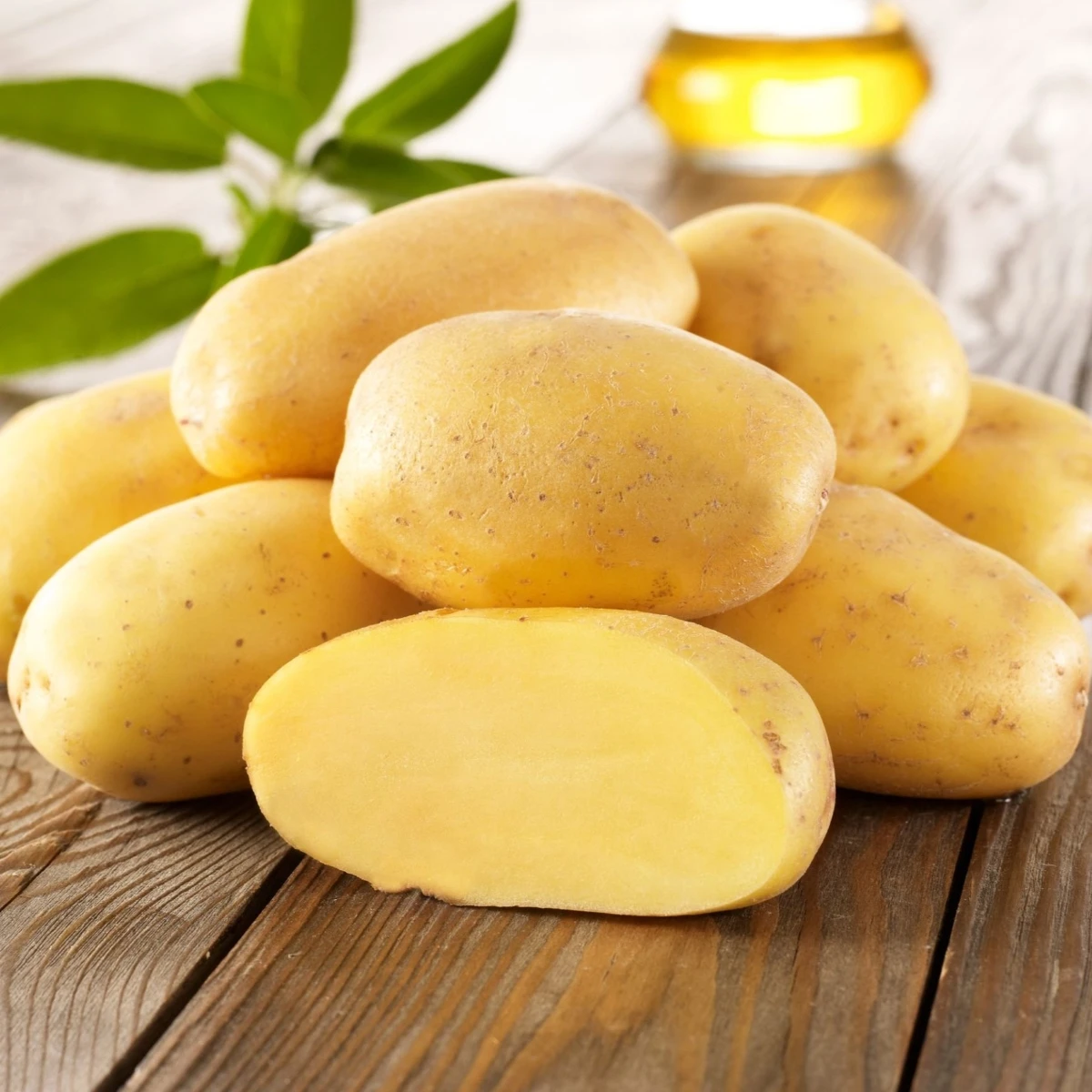 Sadbové zemiaky Sieglinde - Solanum tuberosum - 10 ks