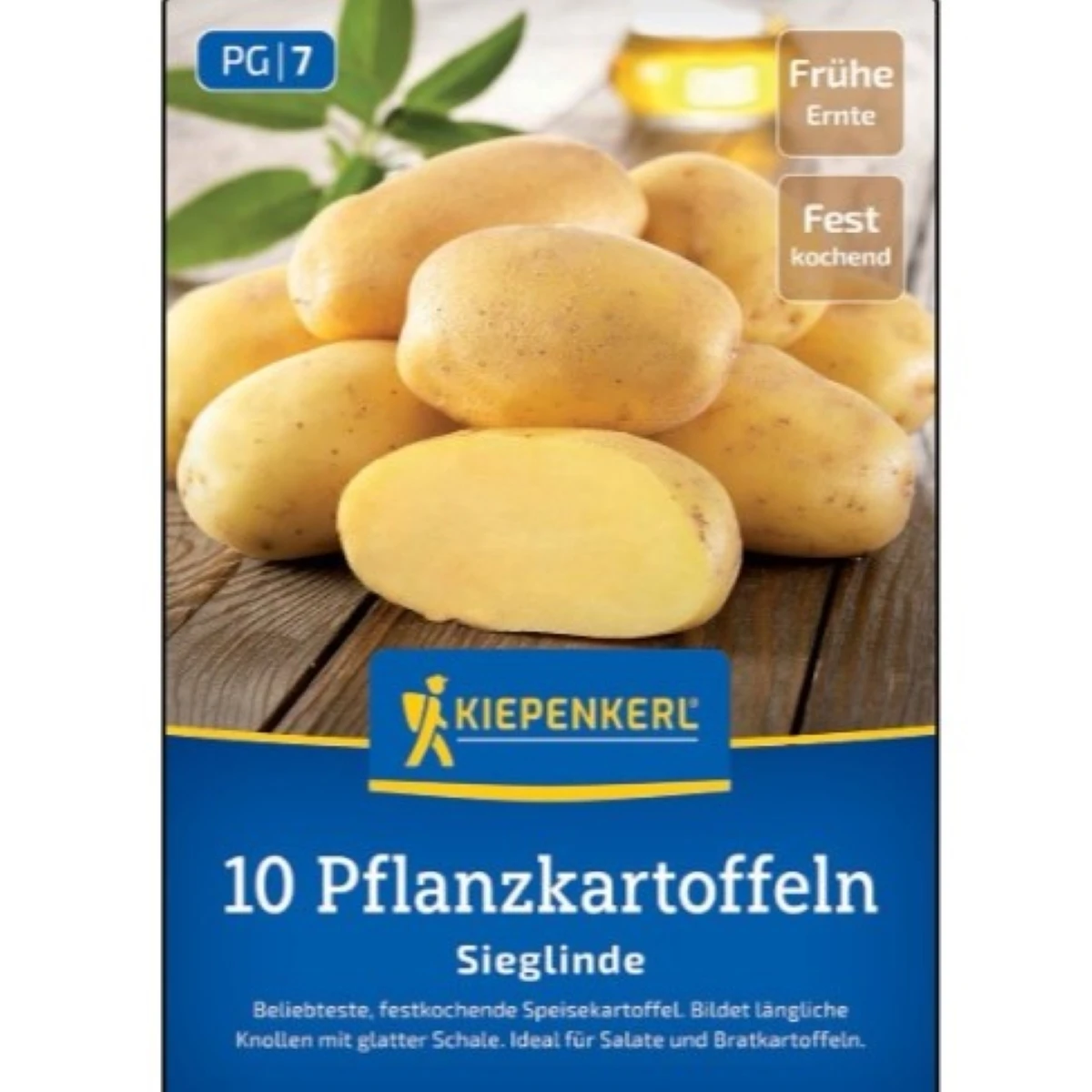 Sadbové zemiaky Sieglinde - Solanum tuberosum - 10 ks