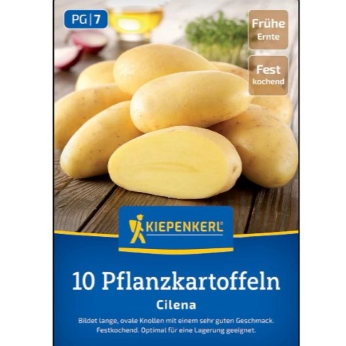 Sadbové zemiaky Cilena - Solanum tuberosum - 10 ks