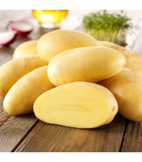 Sadbové zemiaky Cilena - Solanum tuberosum - 10 ks