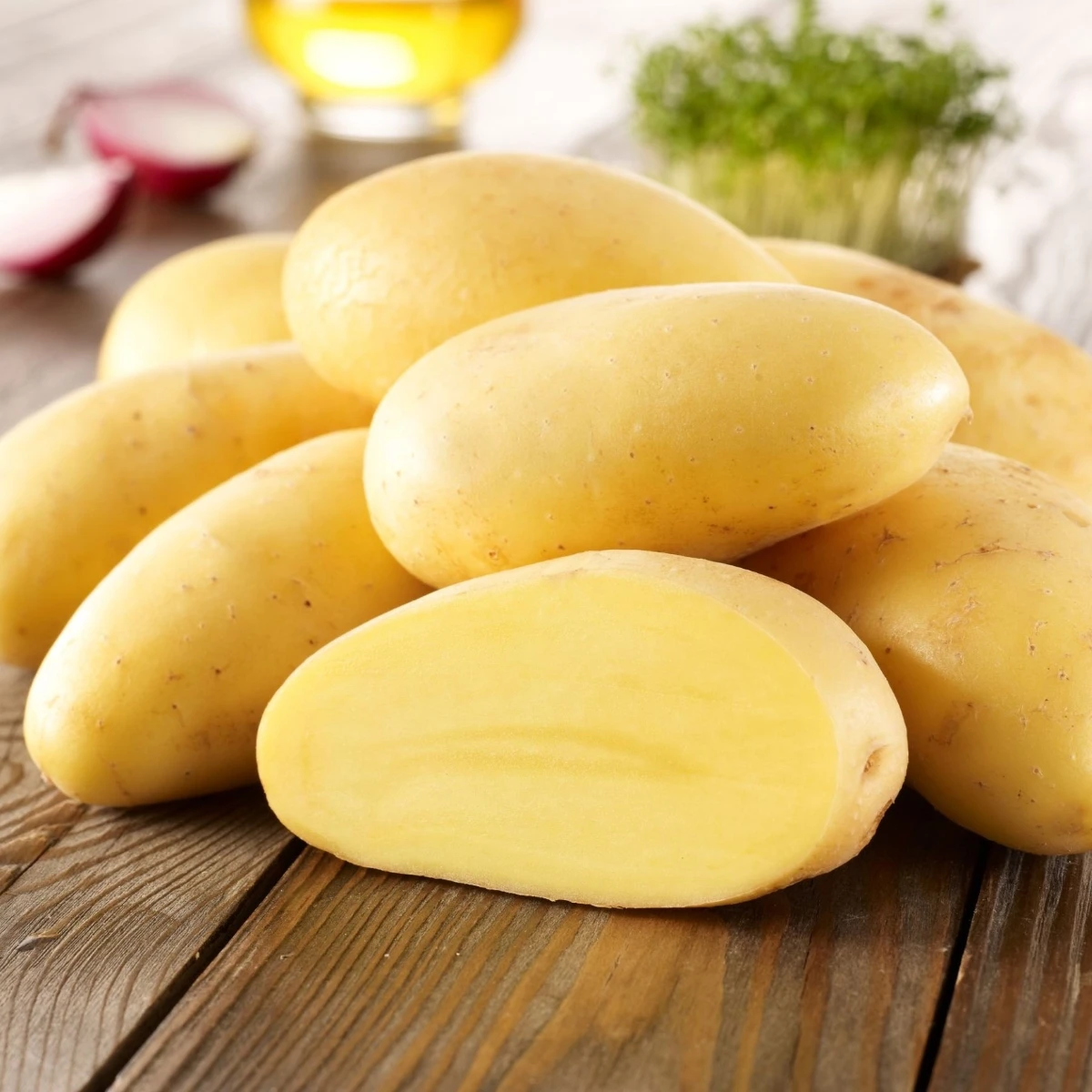 Sadbové zemiaky Cilena - Solanum tuberosum - 10 ks