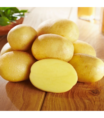 Sadbové zemiaky Glorietta - Solanum tuberosum - 10 ks