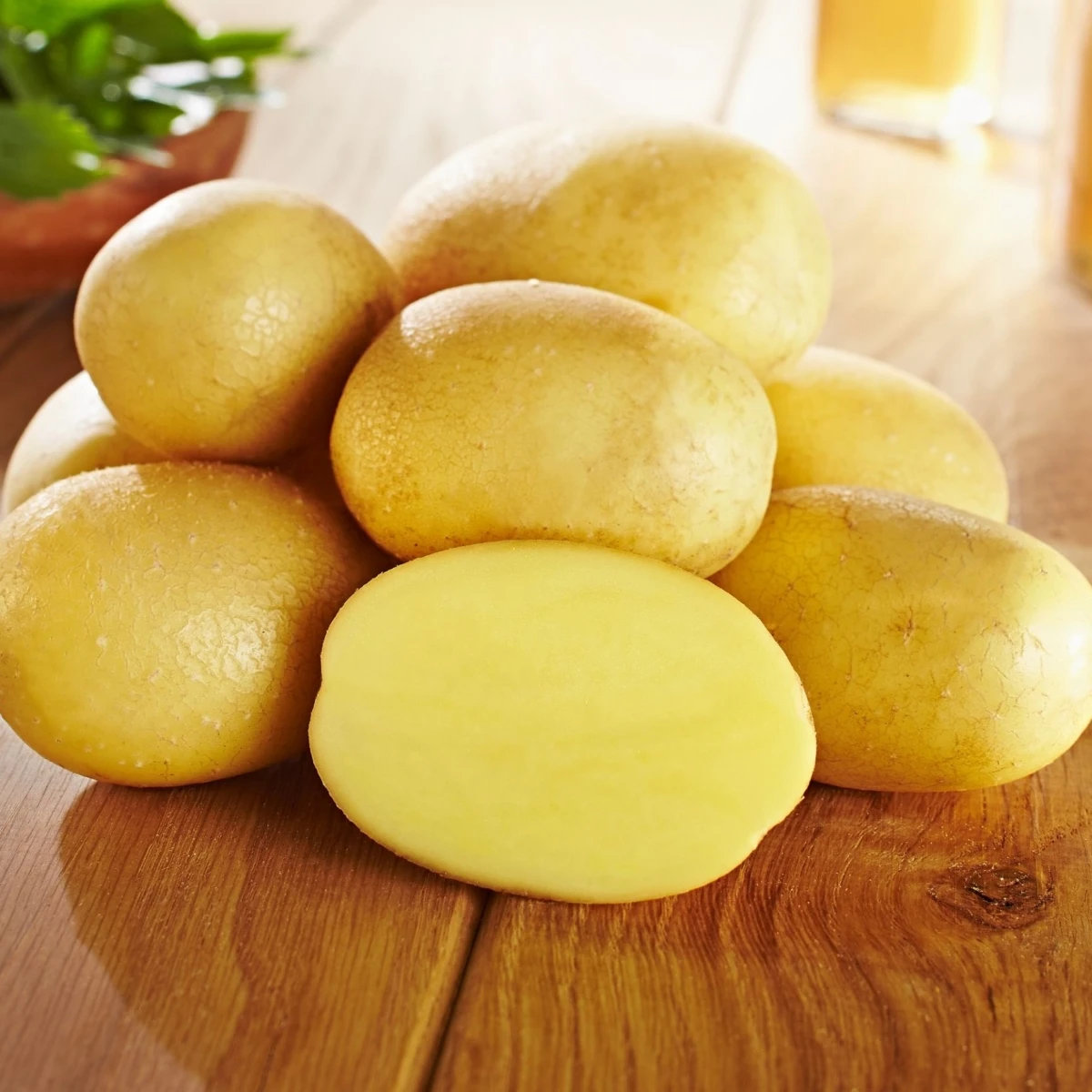 Sadbové zemiaky Glorietta - Solanum tuberosum - 10 ks