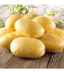 Sadbové zemiaky Bernina - Solanum tuberosum - 10 ks
