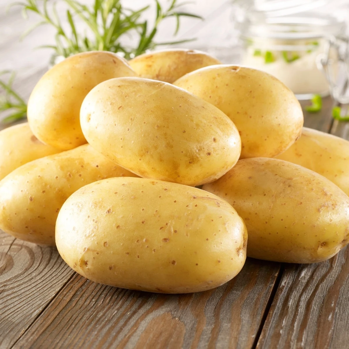 Sadbové zemiaky Bernina - Solanum tuberosum - 10 ks