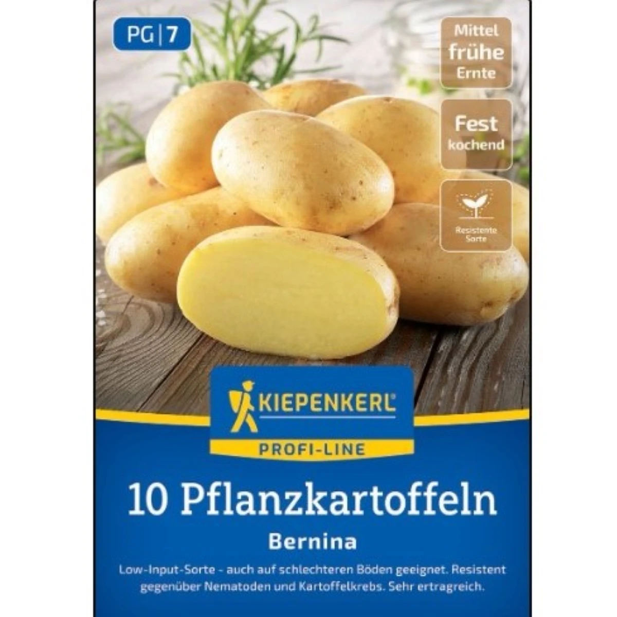 Sadbové zemiaky Bernina - Solanum tuberosum - 10 ks