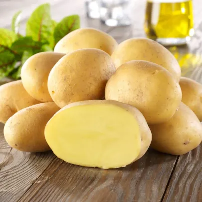 Sadbové zemiaky Linda - Solanum tuberosum - 10 ks