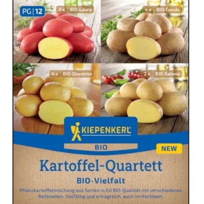 BIO sadbové zemiaky - 4 druhy - Solanum tuberosum - 12 ks
