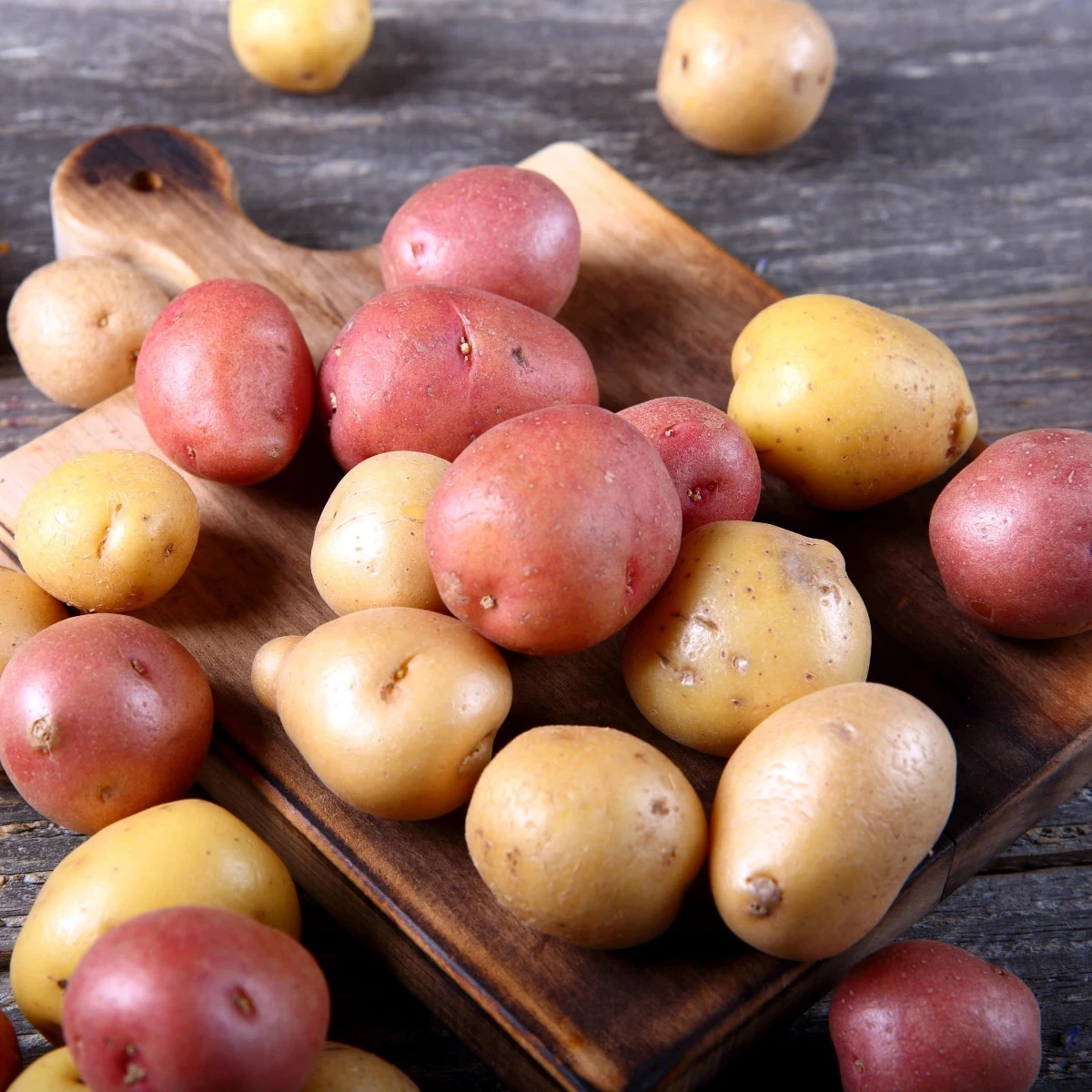 BIO sadbové zemiaky - 4 druhy - Solanum tuberosum - 12 ks