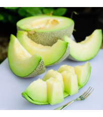 Melón Tenor F1 - Cucumis melo - predaj semien - 6 ks
