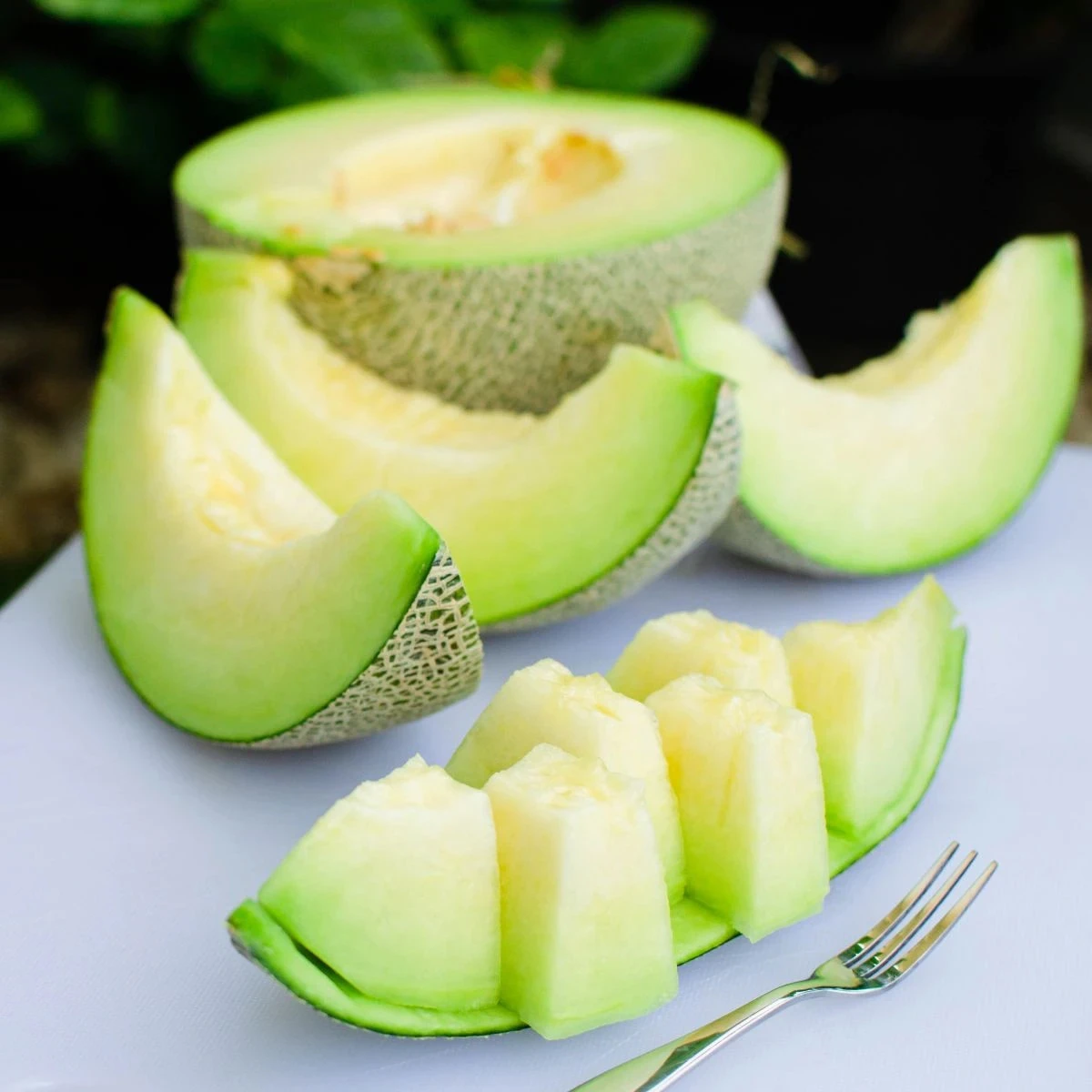 Melón Tenor F1 - Cucumis melo - predaj semien - 6 ks