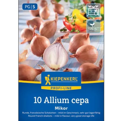 Cibuľa šalotka Mikor - Allium cepa - predaj cibuliek - 10 ks