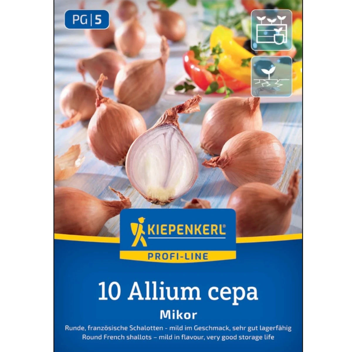 Cibuľa šalotka Mikor - Allium cepa - predaj cibuliek - 10 ks
