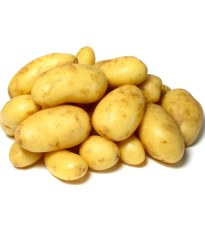 Sadbové zemiaky Camelia - Solanum tuberosum - predaj sadiva - 5 kg