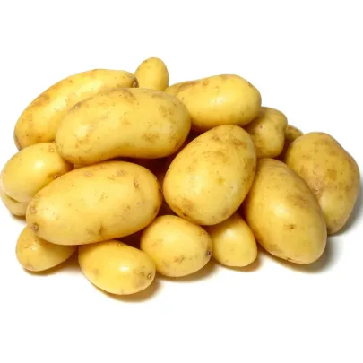 Sadbové zemiaky Camelia - Solanum tuberosum - predaj sadiva - 5 kg