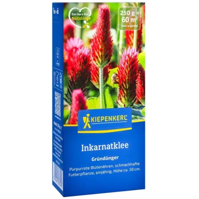 Zelené hnojenie - Ďatelina inkarnát - semená - 250 g