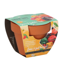 Buzzy Grow Gifts - Minisada na pestovanie chilli papriky - Pieterpik - pestovateľská sada - 1 ks
