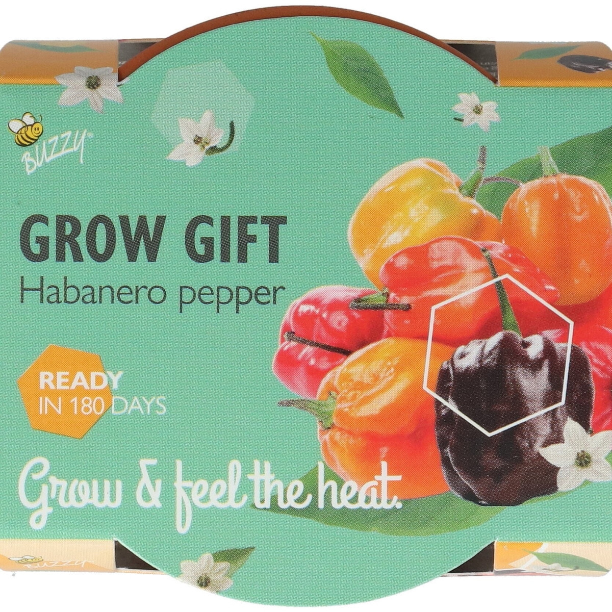 Buzzy Grow Gifts - Minisada na pestovanie chilli papriky - Pieterpik - pestovateľská sada - 1 ks