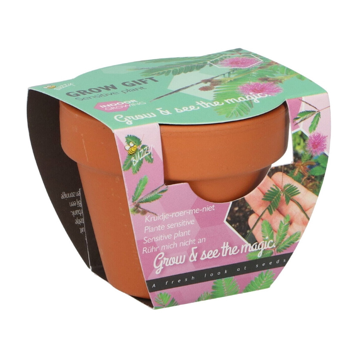 Buzzy Grow Gifts - Minisada na pestovanie citlivky - Pieterpik - pestovateľská sada - 1 ks