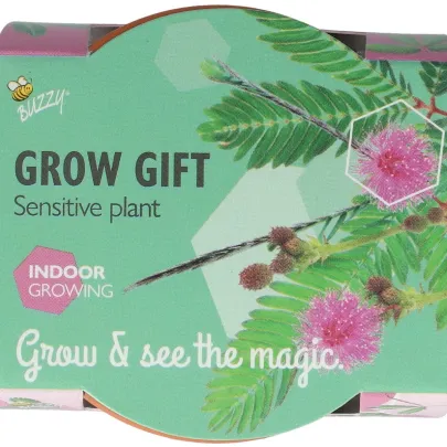 Buzzy Grow Gifts - Minisada na pestovanie citlivky - Pieterpik - pestovateľská sada - 1 ks
