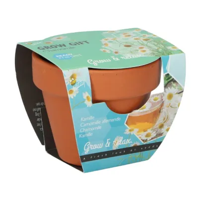 Buzzy Grow Gifts - Minisada na pestovanie harmančeka - Pieterpik - pestovateľská sada - 1 ks