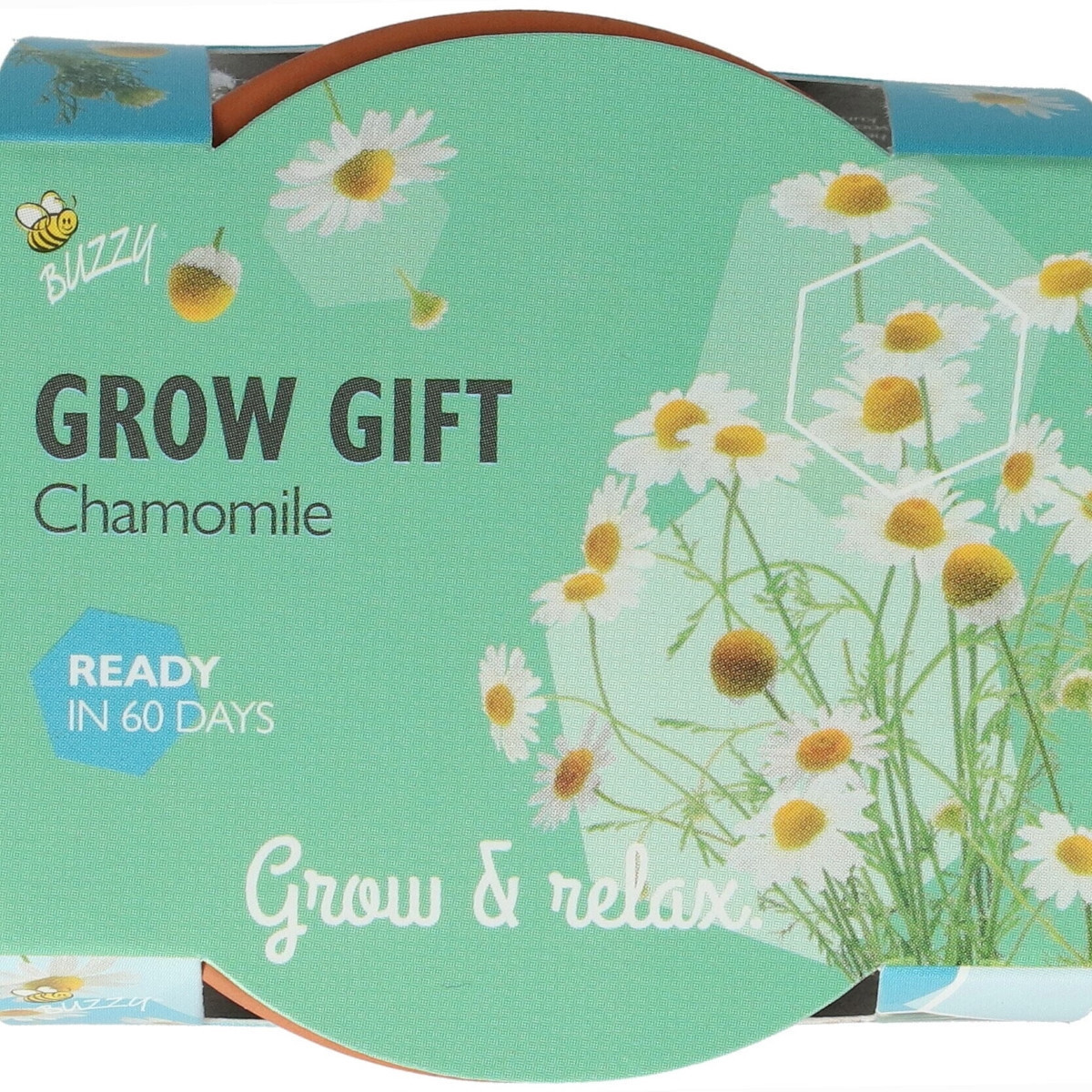 Buzzy Grow Gifts - Minisada na pestovanie harmančeka - Pieterpik - pestovateľská sada - 1 ks