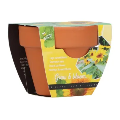 Buzzy Grow Gifts - Minisada na pestovanie slnečnice - Pieterpik - pestovateľská sada - 1 ks