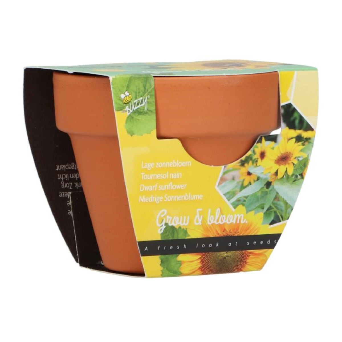 Buzzy Grow Gifts - Minisada na pestovanie slnečnice - Pieterpik - pestovateľská sada - 1 ks
