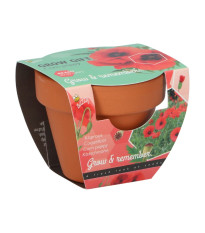 Buzzy Grow Gifts - Minisada na pestovanie maku - Pieterpik - pestovateľská sada - 1 ks