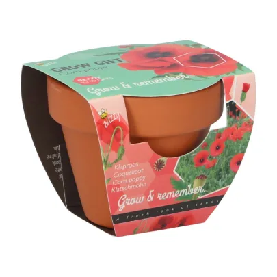 Buzzy Grow Gifts - Minisada na pestovanie maku - Pieterpik - pestovateľská sada - 1 ks