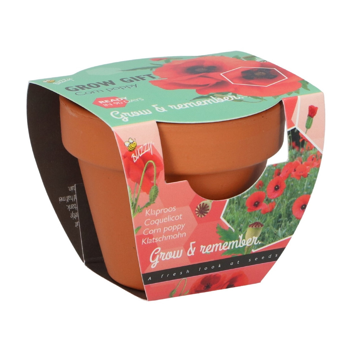 Buzzy Grow Gifts - Minisada na pestovanie maku - Pieterpik - pestovateľská sada - 1 ks