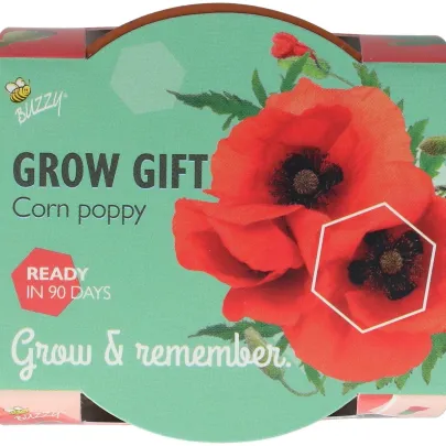 Buzzy Grow Gifts - Minisada na pestovanie maku - Pieterpik - pestovateľská sada - 1 ks