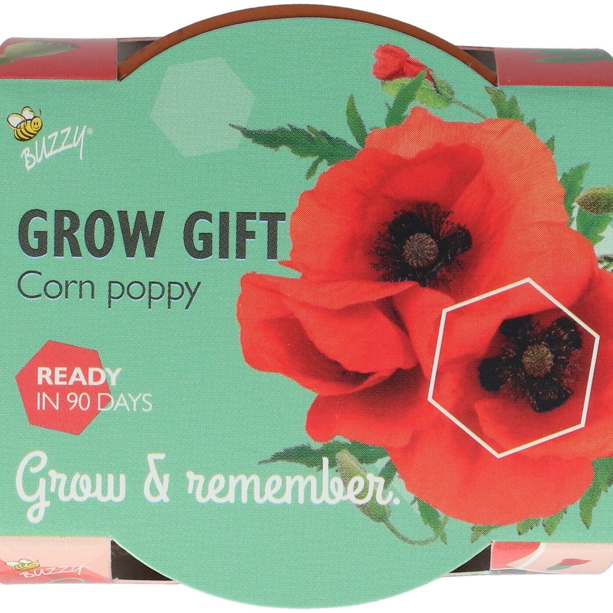 Buzzy Grow Gifts - Minisada na pestovanie maku - Pieterpik - pestovateľská sada - 1 ks