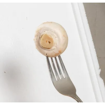 Mini Champ - sada na domáce pestovanie bielych šampiňónov - Agaricus bisporus - sadivo - 1 ks
