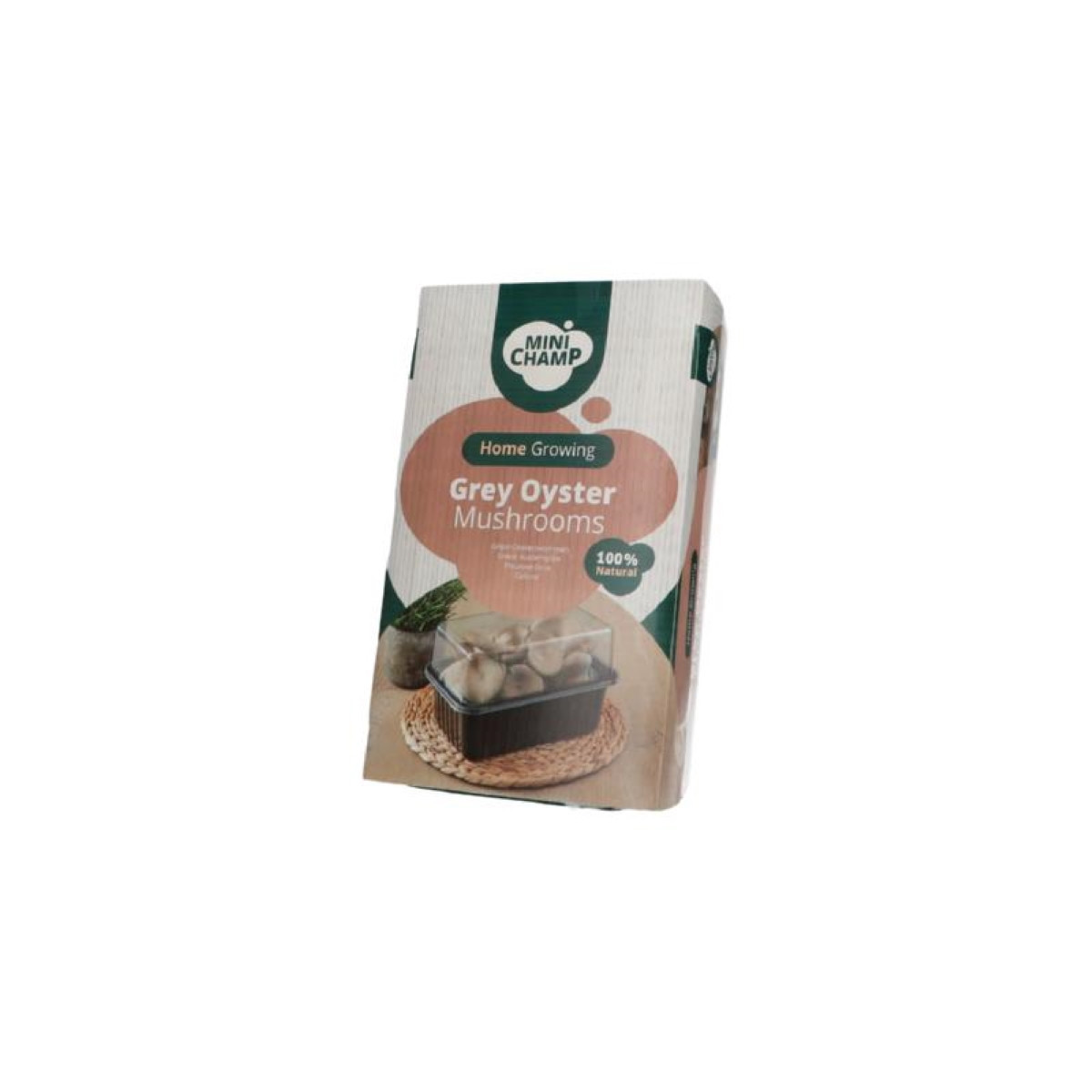 Mini Champ - sada pre domáce pestovanie hlivy ustricovej - Pleurotus ostreatus - sadivo - 1 ks