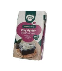 Mini Champ - sada pre domáce pestovanie hlivy kotúčovej - Pleurotus eryngii - sadivo - 1 ks