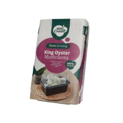 Mini Champ - sada pre domáce pestovanie hlivy kotúčovej - Pleurotus eryngii - sadivo - 1 ks