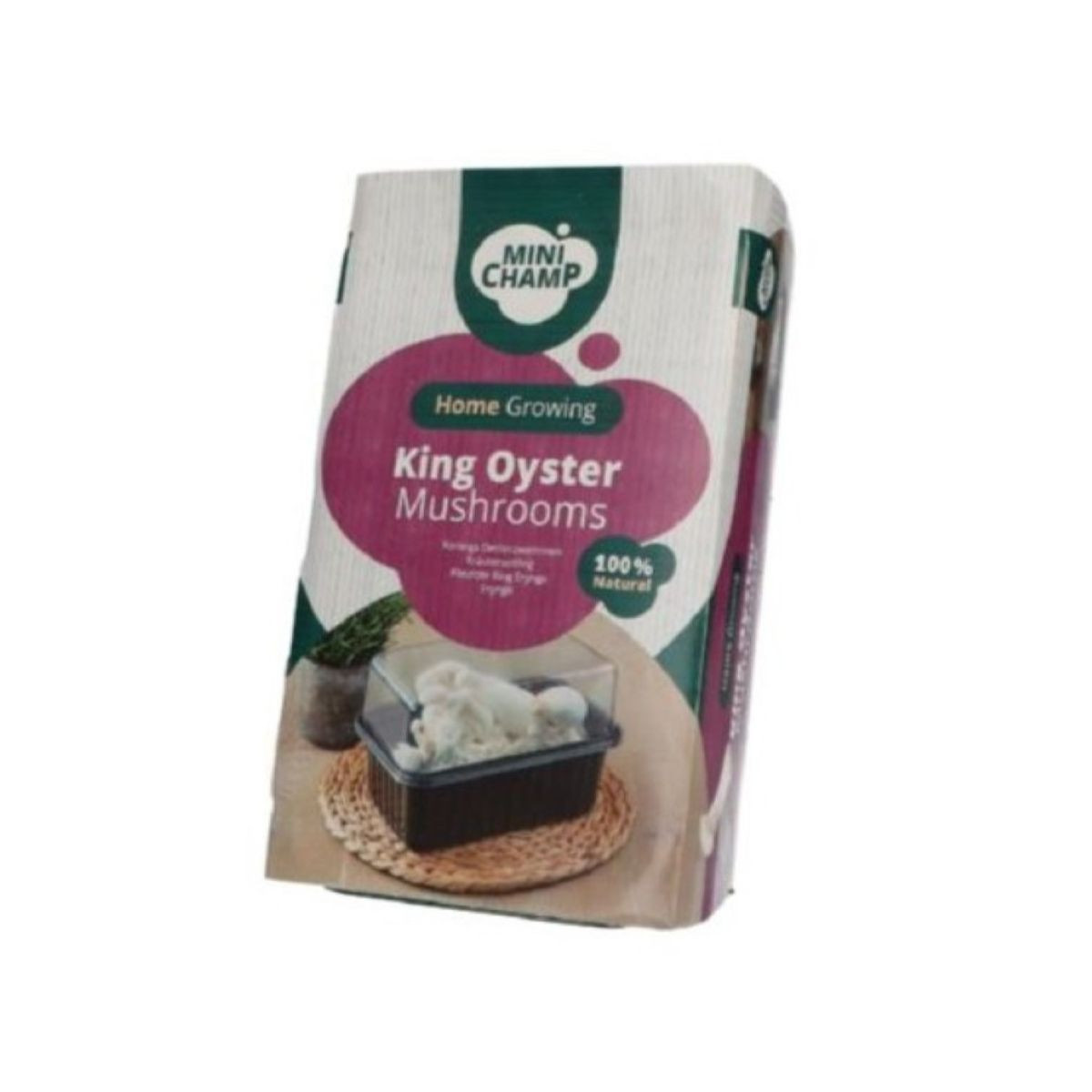 Mini Champ - sada pre domáce pestovanie hlivy kotúčovej - Pleurotus eryngii - sadivo - 1 ks