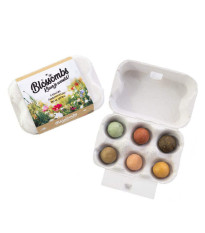 Semienkové bomby - darčekový box na vajíčka - Blossombs - 6 guliek - 1 balenie