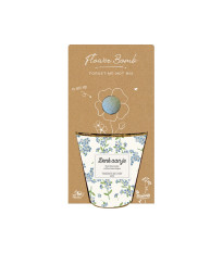 Pestovateľský set - Grow kit - zmes nezábudiek - Blossombs - 1 ks