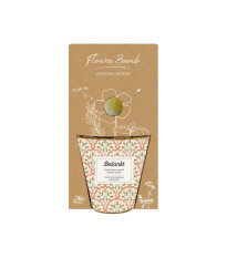 Darčekový set - Grow kit - zmes na pestovanie byliniek - Blossombs - 1 ks