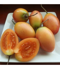 Paradajkový strom žltý Tamarillo - Cyphomandra betacea - semená - 5 ks