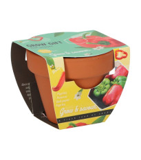 Buzzy Grow Gifts - Minisada na pestovanie papriky - Pieterpik - 1 ks