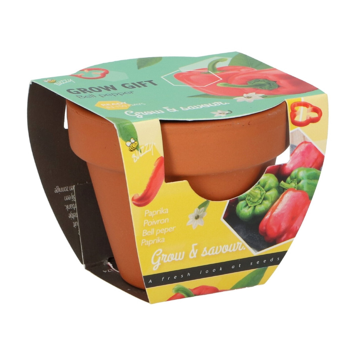 Buzzy Grow Gifts - Minisada na pestovanie papriky - Pieterpik - 1 ks