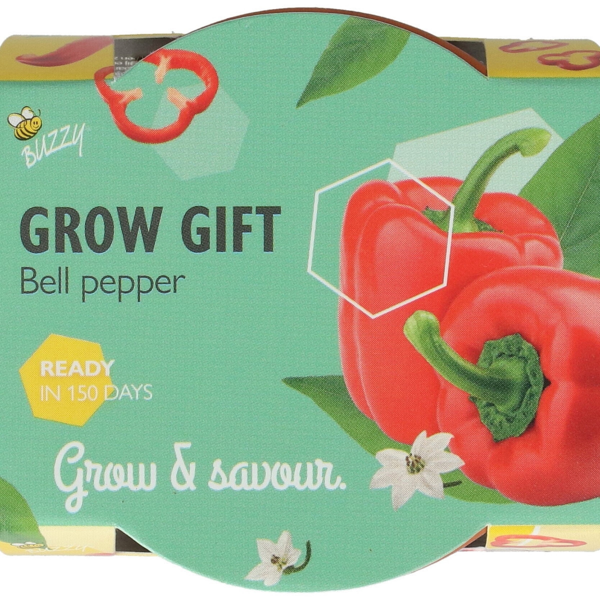Buzzy Grow Gifts - Minisada na pestovanie papriky - Pieterpik - 1 ks