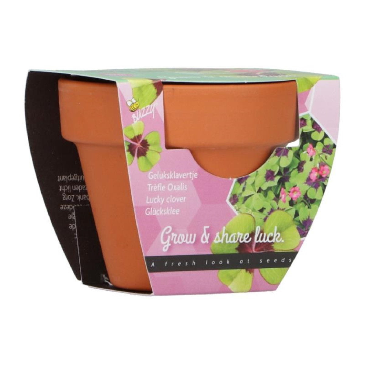 Buzzy Grow Gifts – Minisada na pestovanie štvorlístka - Pieterpik - pestovateľská sada - 1 ks