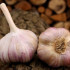 Sadbový cesnak Vekan - Allium sativum - paličiak - 1 balenie