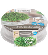 Bio súprava na klíčenie rukoly – Buzzy Organic – Pieterpik