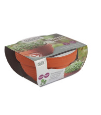 Microgreens kučeravý kel v terakotovej miske – Pieterpik