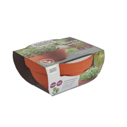 Microgreens kučeravý kel v terakotovej miske – Pieterpik